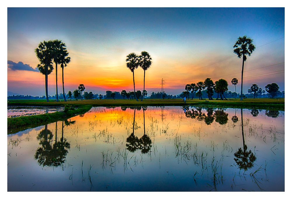 hình ảnh phong cảnh cây thiên nhiên ánh sáng thực vật đồng cỏ buổi sáng hoa Bình minh Thiên đường Mùa thu Đồng cỏ Hình nền máy tính 3910x1837 #43 hình ảnh phong cảnh cây thiên nhiên ánh sáng thực vật đồng cỏ buổi sáng hoa Bình minh Thiên đường Mùa thu Đồng cỏ Hình nền máy tính 3910x1837