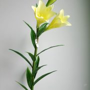 2112-2# (H 68 cm) - Copy