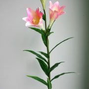 2112-4# (H 68 cm) - Copy
