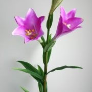 2112-5# (H 68 cm)