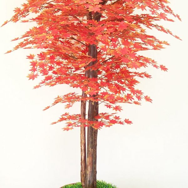 BL-1029-red (H170 cm)