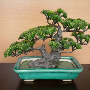 BS-151 (L16 x W9 x H16 cm)