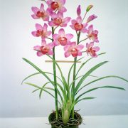 BS-2216-6# (H69 cm)