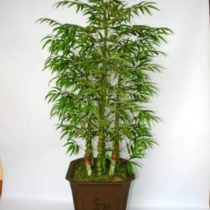 BXL-337 (H140 cm)