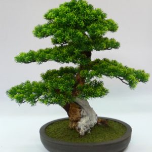 JM-Bonsai.S1 (H47 cm)