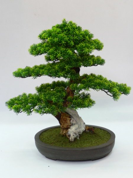 JM-Bonsai.S1 (H47 cm)