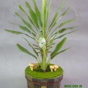 39cm