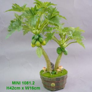 42cm