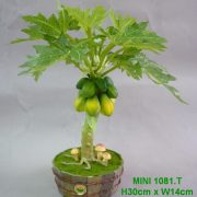 30cm