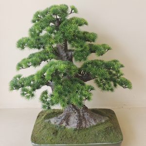 BL 050