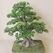 BL0 50