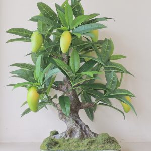 DSCN7754
