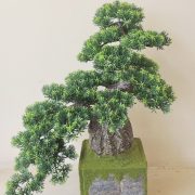 DSCN7808