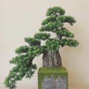 DSCN7809